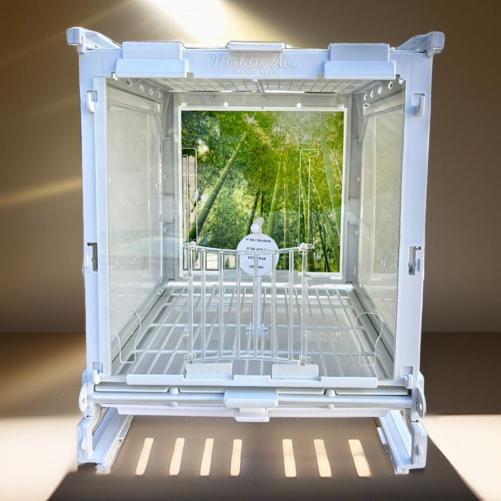 WhatsApp Image 2025-11-06 at 09.22.48