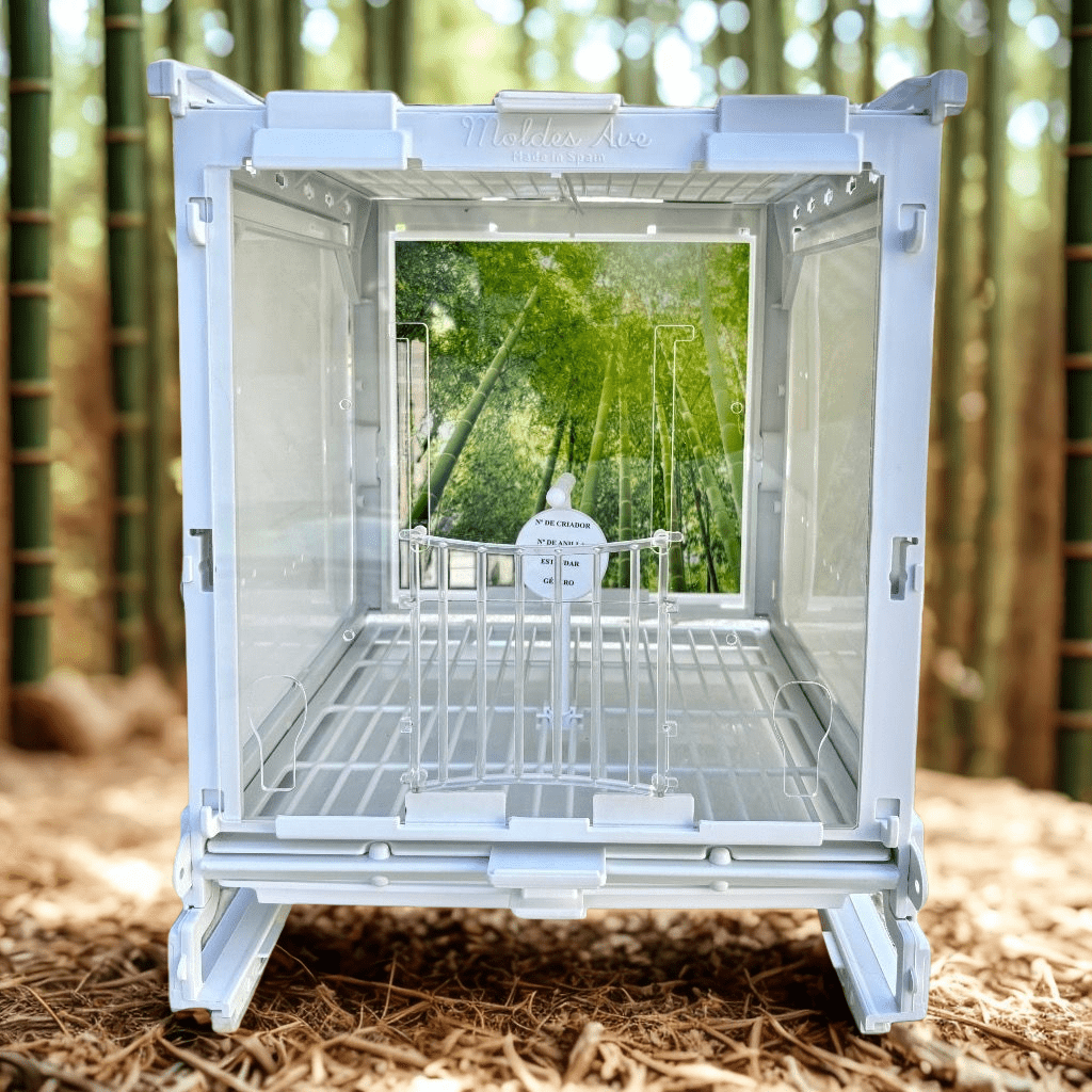 a84ed6e3-3b1d-4513-ba8c-446b7c982026 (1)