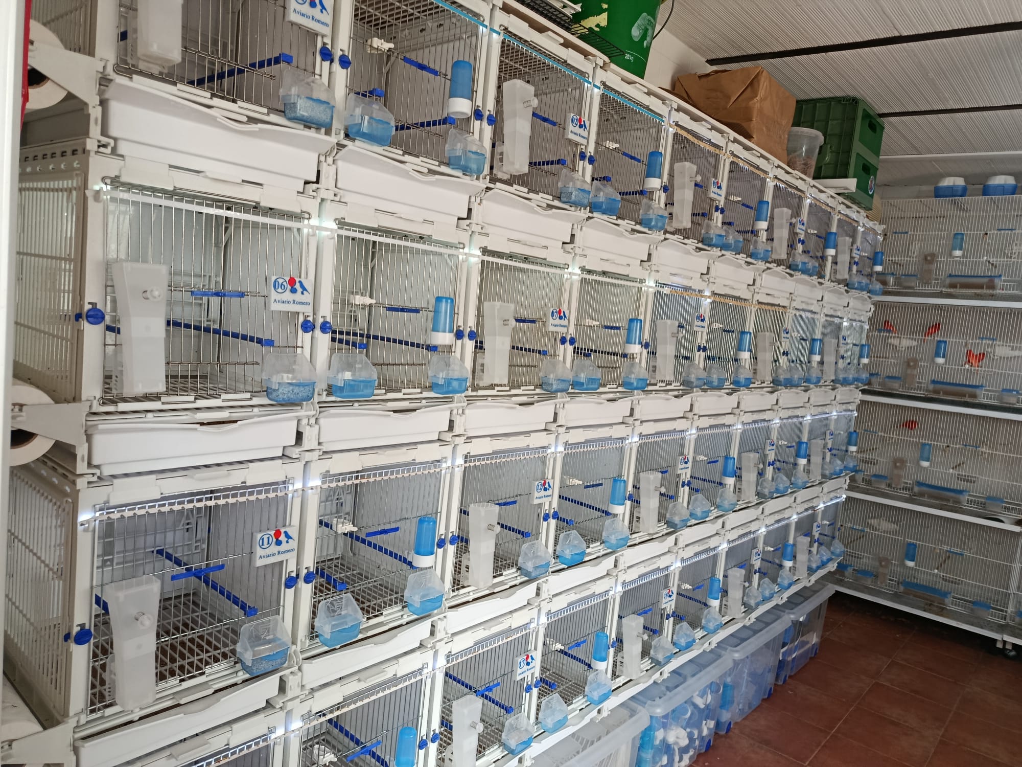 WhatsApp Image 2025-11-06 at 09.29.59 (1)